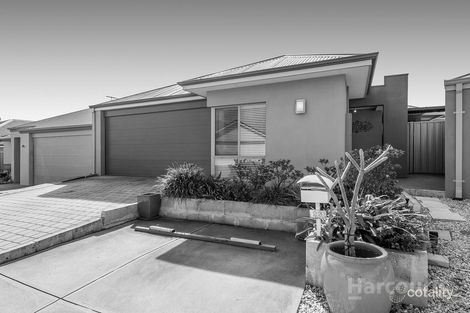 Property photo of 23 Rochdale Circle Meadow Springs WA 6210