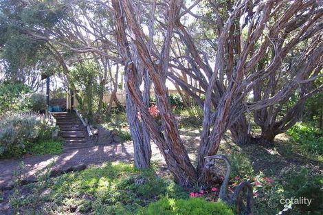 Property photo of 32 Anelida Street Rye VIC 3941