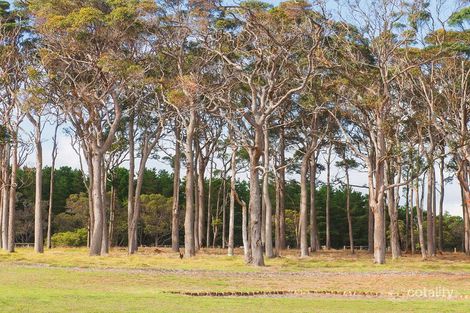Lot 218 Sawmill Loop, Karridale, WA 6288