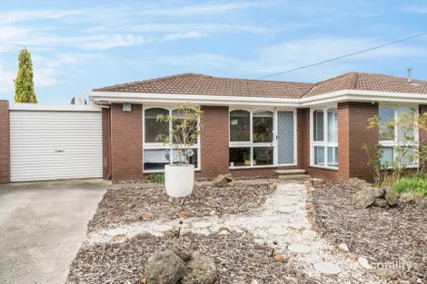 3/23 Francis St, Belmont, VIC 3216