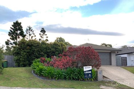 Property photo of 115 Treeline Circuit Upper Coomera QLD 4209