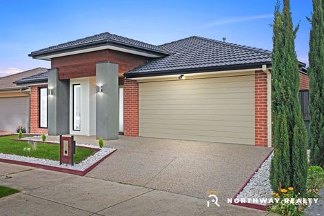 Property photo of 5 Bombala Crescent Craigieburn VIC 3064