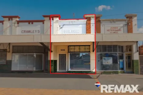 Property photo of 109 Broadway Street Junee NSW 2663