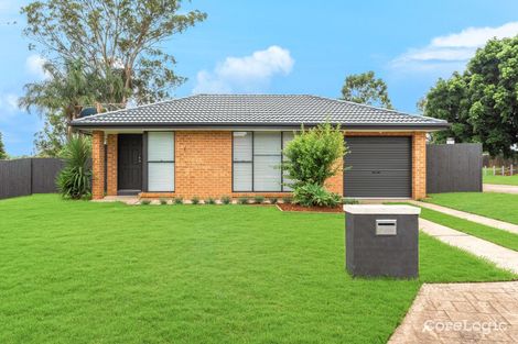 Property photo of 1 Lisa Close Narellan NSW 2567