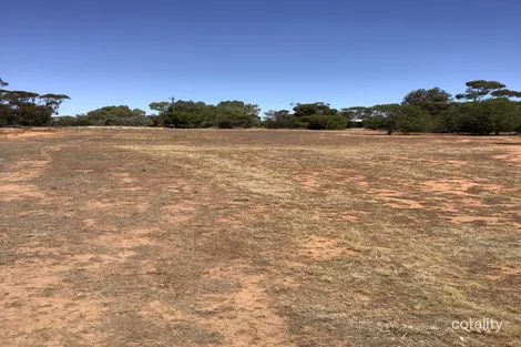 Property photo of 34 Victoria Street Berriwillock VIC 3531