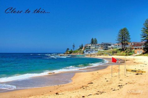 Property photo of 8 Nimbin Street The Entrance NSW 2261