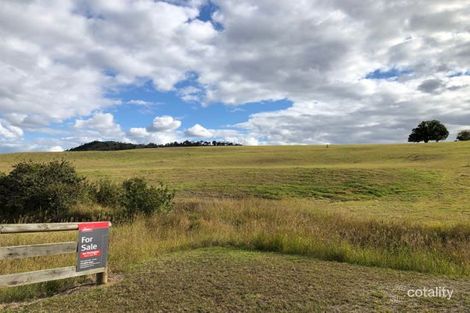 Property photo of 20 Saddlebag Court Chatsworth QLD 4570