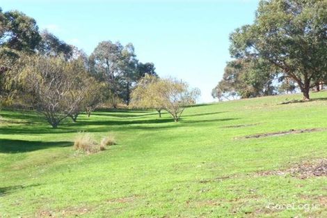 Property photo of 144 Ridgewood Loop Bullsbrook WA 6084