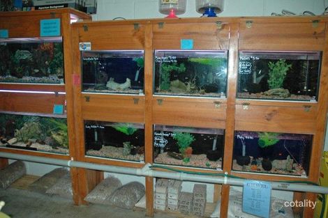 12a Maryborough St, Bundaberg Central, QLD 4670