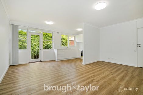 8/21 Shepherd St, Ashfield, NSW 2131