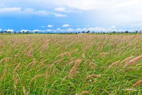 1467 Pasha Rd, Pasha, QLD 4721