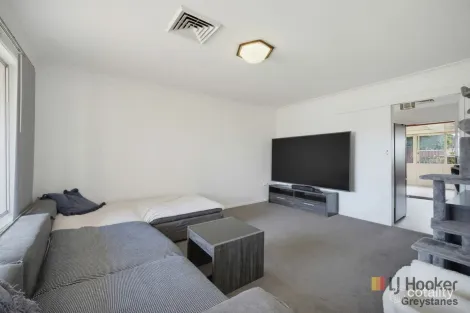 Property photo of 45 Braeside Road Greystanes NSW 2145