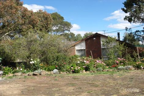 49 Bourke St, Bulla, VIC 3428