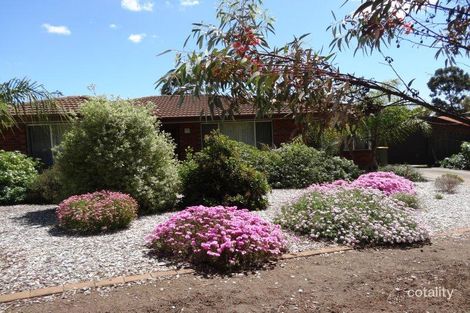 Property photo of 42 Pierre Road Modbury SA 5092