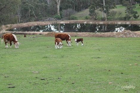 318 Berry Rd, Gidgegannup, WA 6083