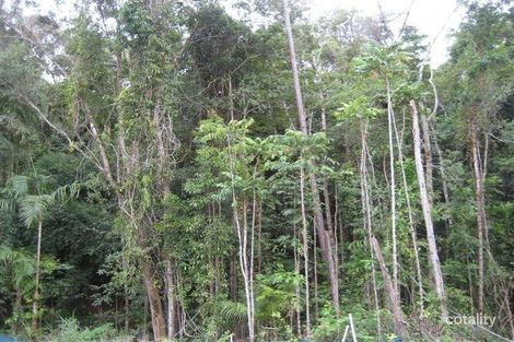 Property photo of 5 Tully Court Kuranda QLD 4881
