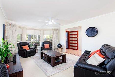 Property photo of 26 Mountain Ash Drive Mountain Creek QLD 4557
