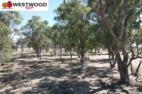 Property photo of 14 Westwood Drive Mooroopna VIC 3629