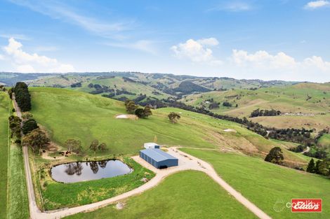 99 Fosters Rd, Wild Dog Valley, VIC 3953