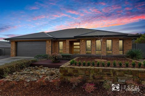 Property photo of 46 Janelle Drive Maiden Gully VIC 3551