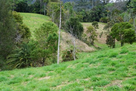 501 Mount Warning Rd, Mount Warning, NSW 2484