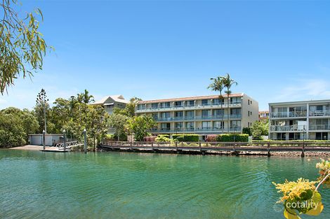 Property photo of 167/6 Hastings Street Noosa Heads QLD 4567
