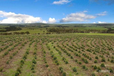 205 Fultons Lane, Bambra, VIC 3241