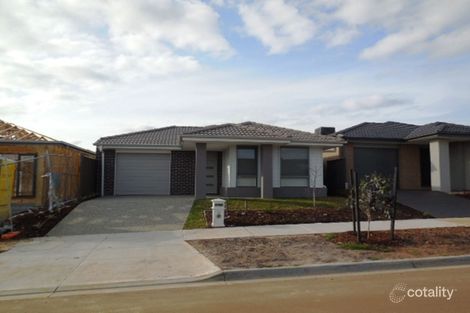Property photo of 13 Cobble Street Cobblebank VIC 3338
