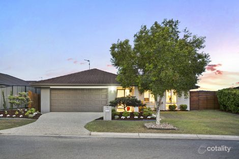 Property photo of 13 Antonson Crescent Mudgeeraba QLD 4213