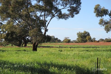 Property photo of 524 Eckert Road Brimbago SA 5267