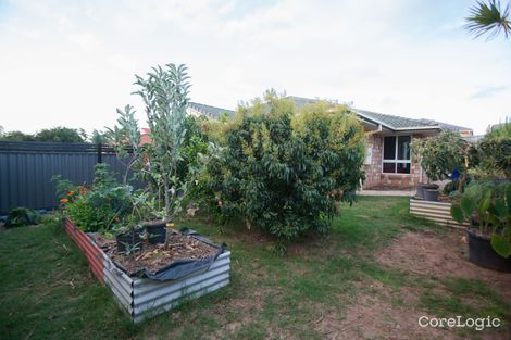 Property photo of 18 Geranium Street Ormeau QLD 4208