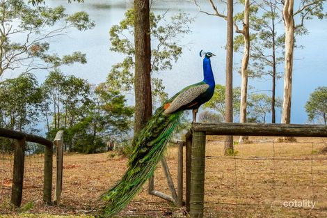 Property photo of 84-86 Howlett Road Capalaba QLD 4157