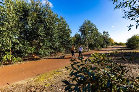 Property photo of 19 Threefin Circuit Vasse WA 6280