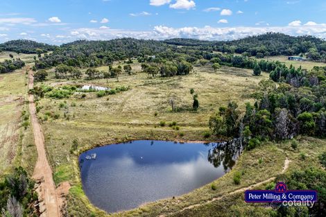 Property photo of 334 Belowrie Road Tomingley NSW 2869