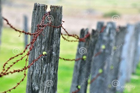 43 Poinciana Ave, Rifle Range, QLD 4311