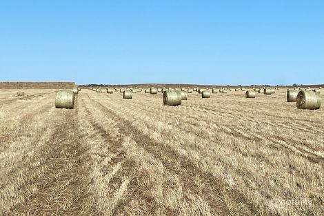 446 Orwell Rd, Lameroo, SA 5302