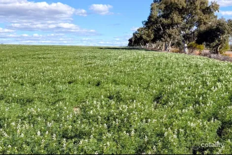 1396 Tabletop Rd, Mount Horner, WA 6525