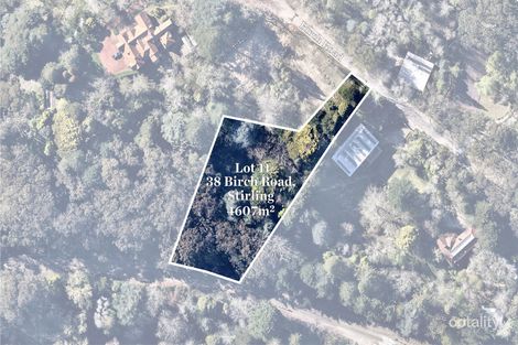 38 Birch Rd, Stirling, SA 5152