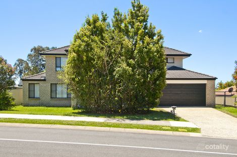 Property photo of 17 Bushgum Crescent Upper Coomera QLD 4209