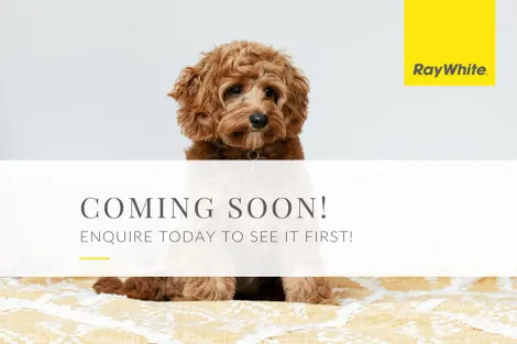 Property photo of 86 Harris Road Diamond Valley QLD 4553