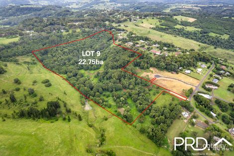 7 Birdwing Pl, Modanville, NSW 2480