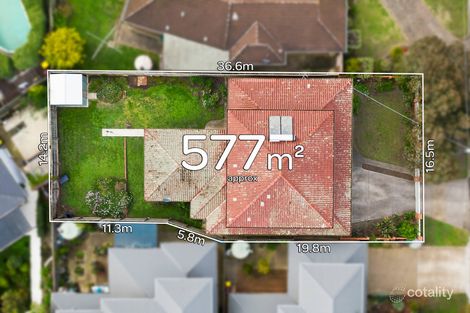 Property photo of 116 Sladen Street Hamlyn Heights VIC 3215