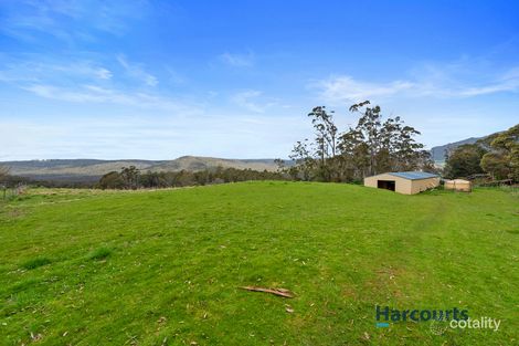 Property photo of 284 Old Paradise Road Sheffield TAS 7306
