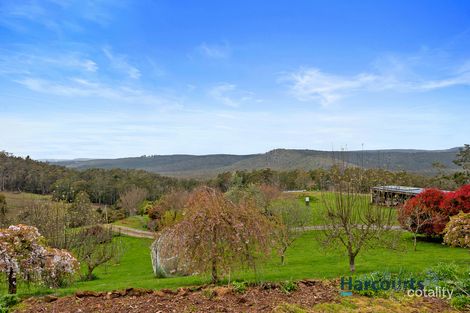 Property photo of 284 Old Paradise Road Sheffield TAS 7306