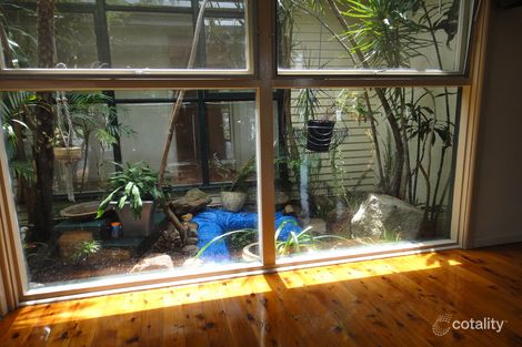 Property photo of 26 Willow Tree Avenue Emu Plains NSW 2750