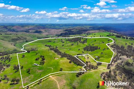 117 Savilles Rd, Golspie, NSW 2580