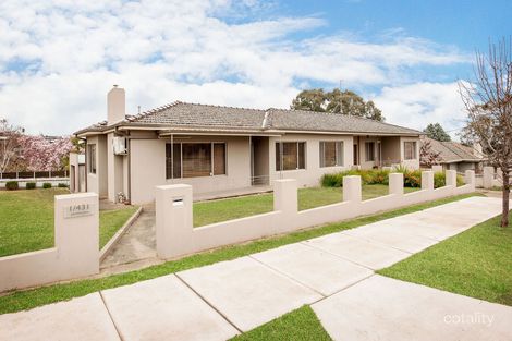 431 Jamieson St, East Albury, NSW 2640