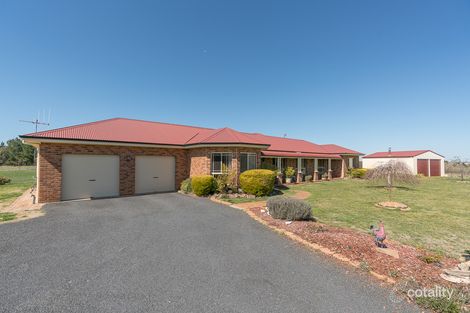 683 Spring Terrace Rd, Forest Reefs, NSW 2798