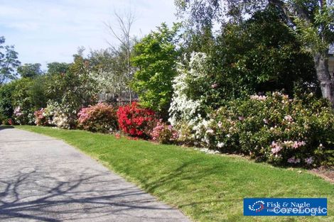 Property photo of 152 Newtown Road Bega NSW 2550