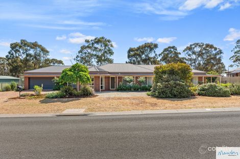 31 Kathleen Tce, Maiden Gully, VIC 3551